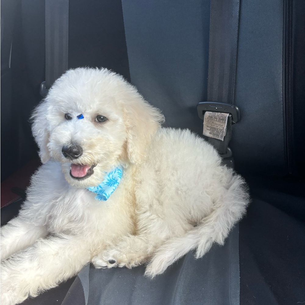 Im live!! Beauty deals like to be notified - Picture 5 of 7